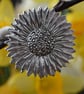 Sunflower pewter brooch - Image 1