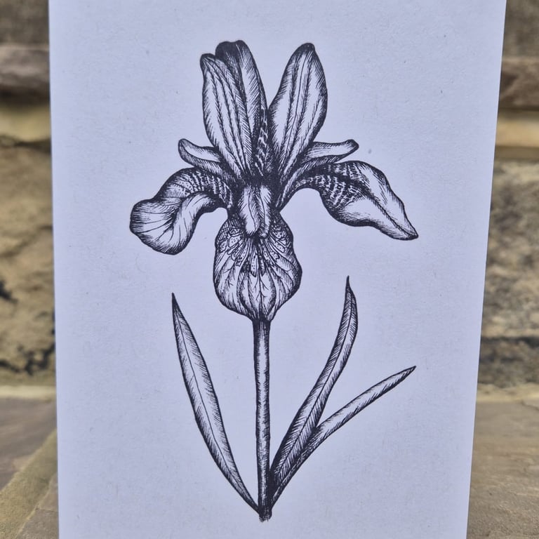 Iris blank greetings card (A6)