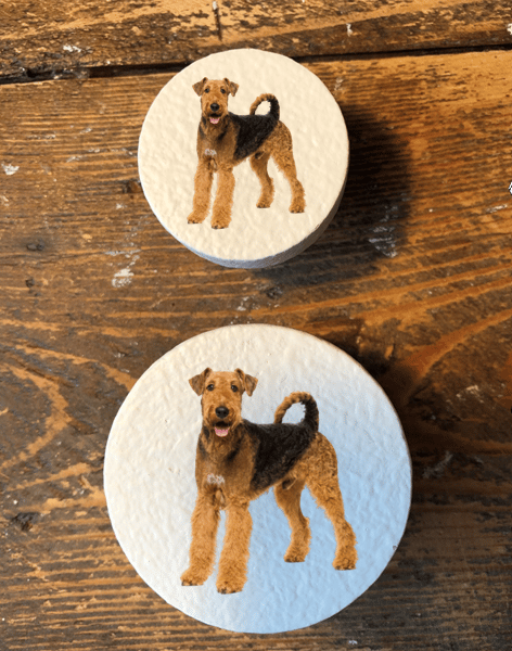 Handmade Airedale Terrier dog pine door knobs wardrobe drawer handles decoupaged