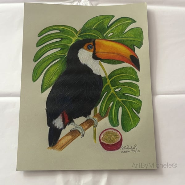Original Toco Toucan Drawing, Colour Pencil Wildlife Art, 9x12 Artwork