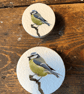 Handmade Blue Tit wild birds pine door knobs wardrobe drawer handles decoupaged 