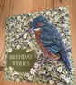 NEW! Beautiful Kingfisher birthday card