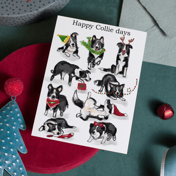 Border CollieChristmas Card, a6 250gm cardstock with Red envelope, blank inside 