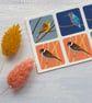 Kingfisher, Yellowhammer and Reed Bunting Envelope Stickers