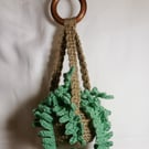 Crochet hanging plant