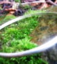 Personalised Silver Bangle - Slinky - Image 5