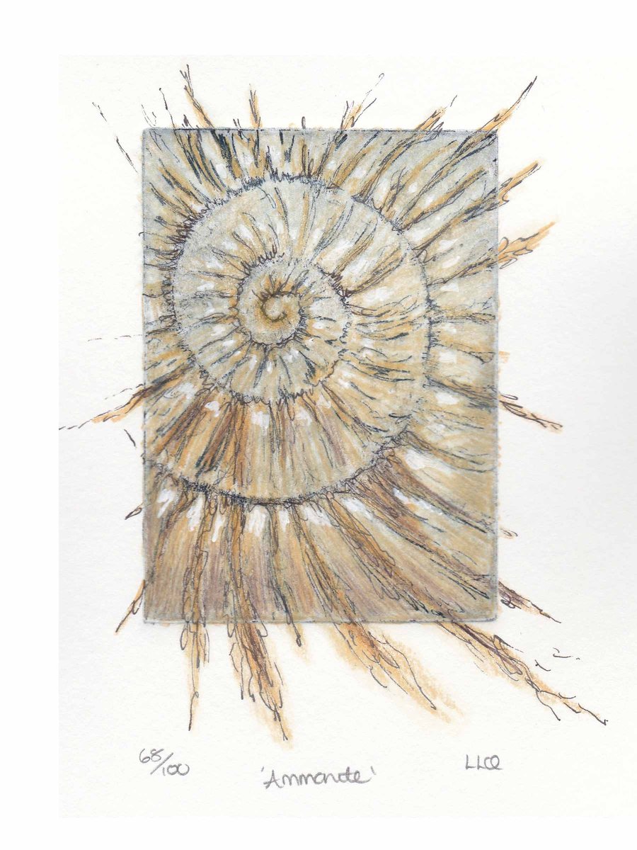 Etching no.68 of an ammonite fossil with mixed media in an edition of 100