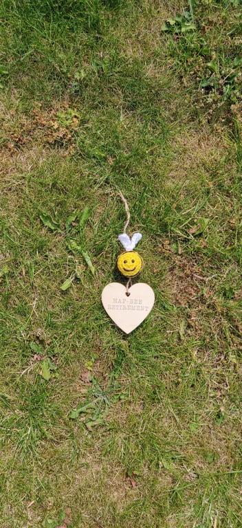 Happy Retirement Gift, Retirement Bee Gift for Women, Retirement Present, Bee Ha