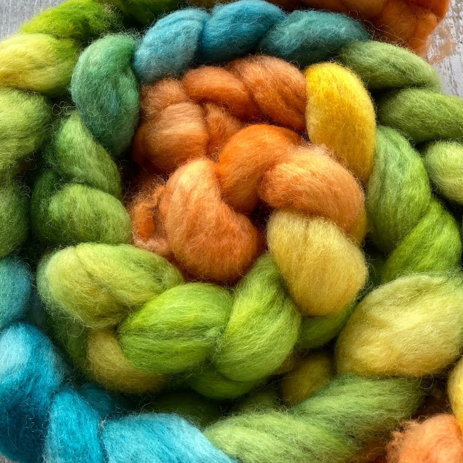 BFL Spinning fibre 100g Summers fade