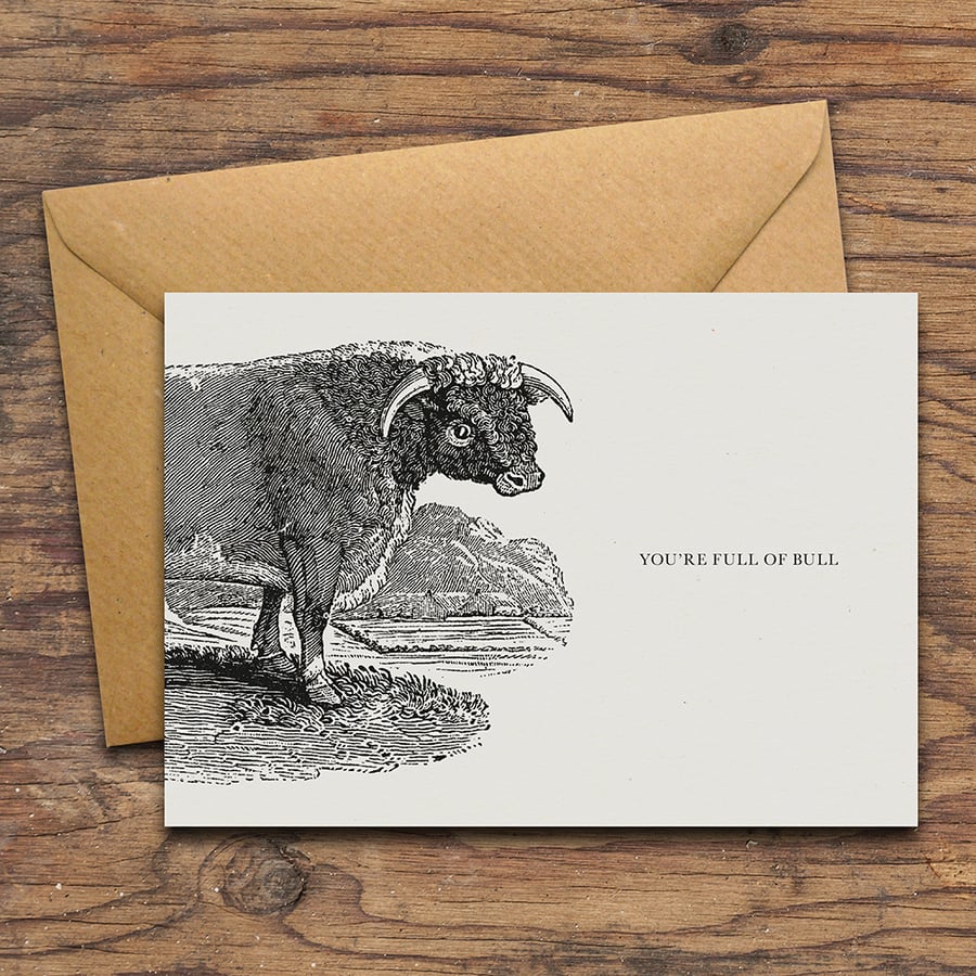 You're Full Of Bull Handmade Greetings Card
