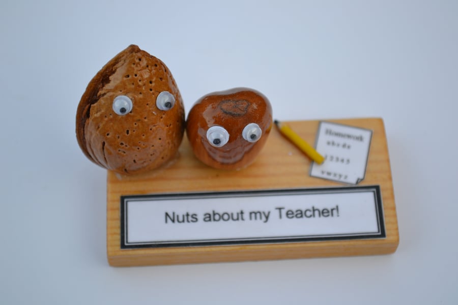 Nutty Gift - School Teacher