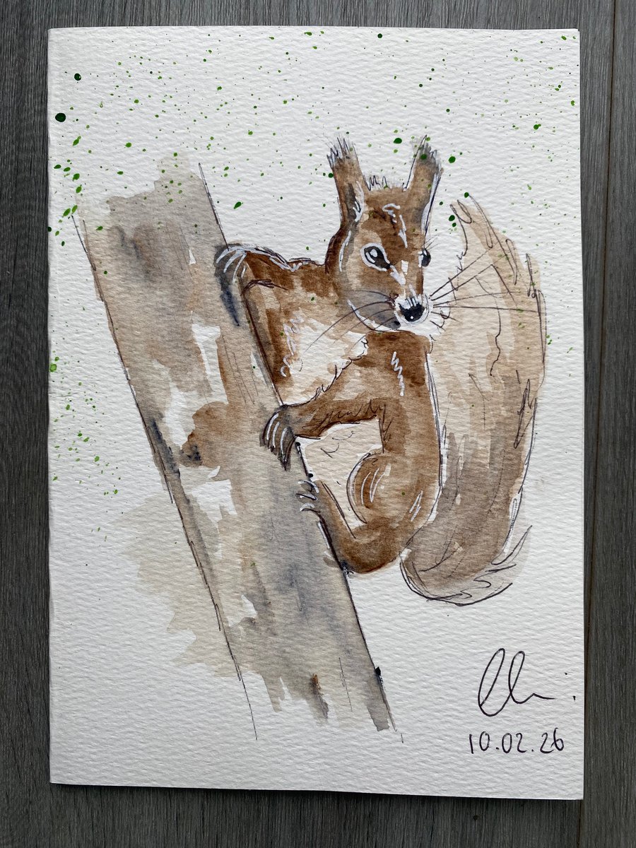 curious little squirrel - woodland watercolour Greeting card 