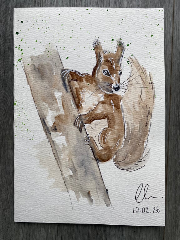curious little squirrel - woodland watercolour Greeting card 