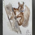 curious little squirrel - woodland watercolour Greeting card 