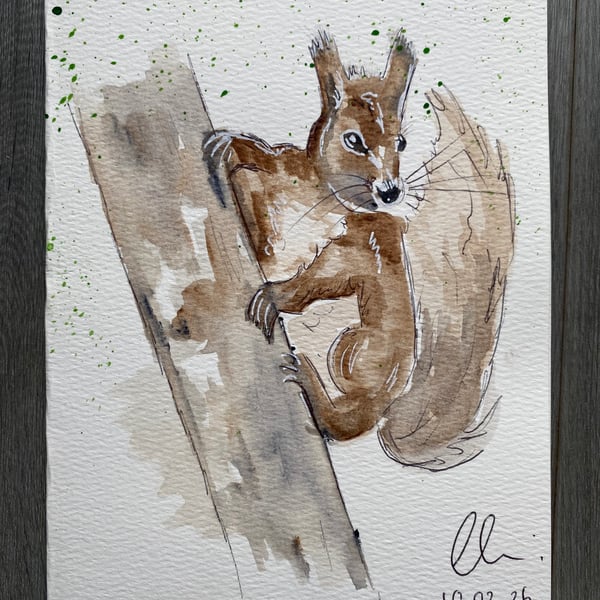 curious little squirrel - woodland watercolour Greeting card 