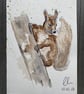 curious little squirrel - woodland watercolour greeting card 