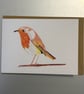 Robin A5 Greeting Card - Image 1