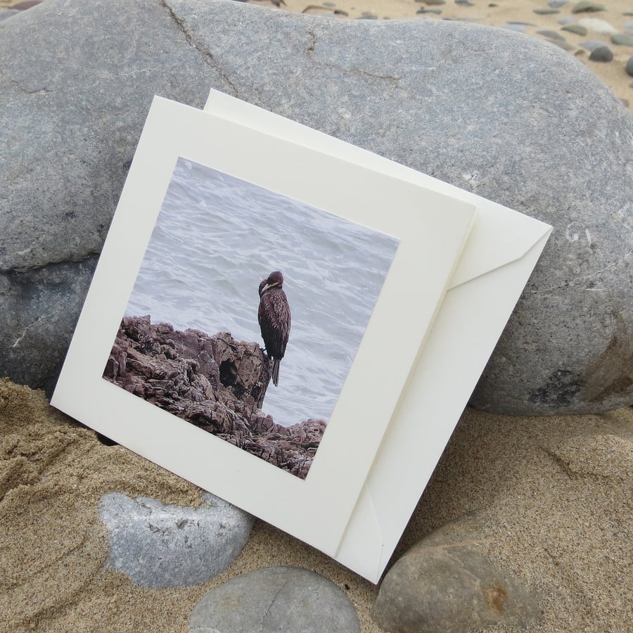 Cormorant.  A card featuring an original photograph.  Blank inside.