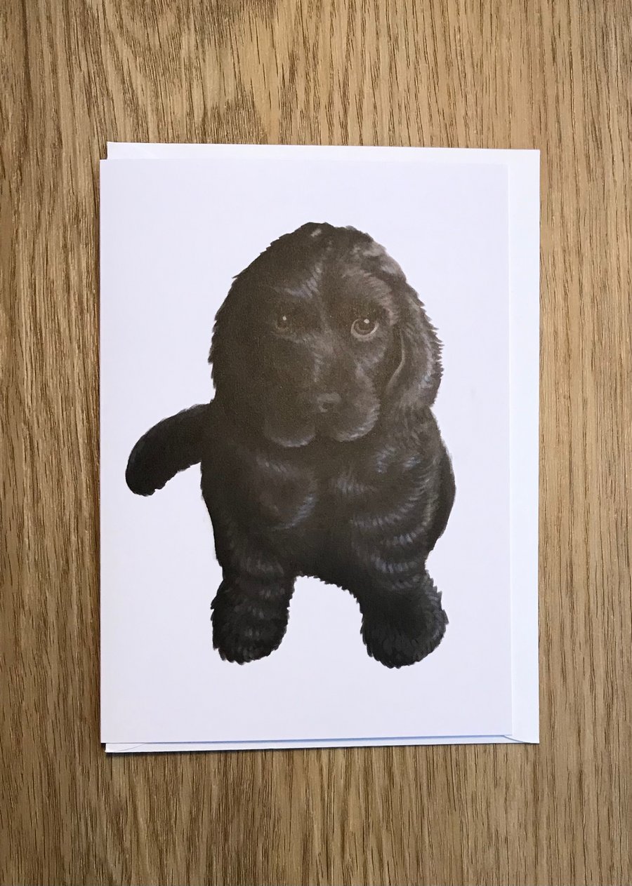 Cocker Spaniel Pup blank greeting card