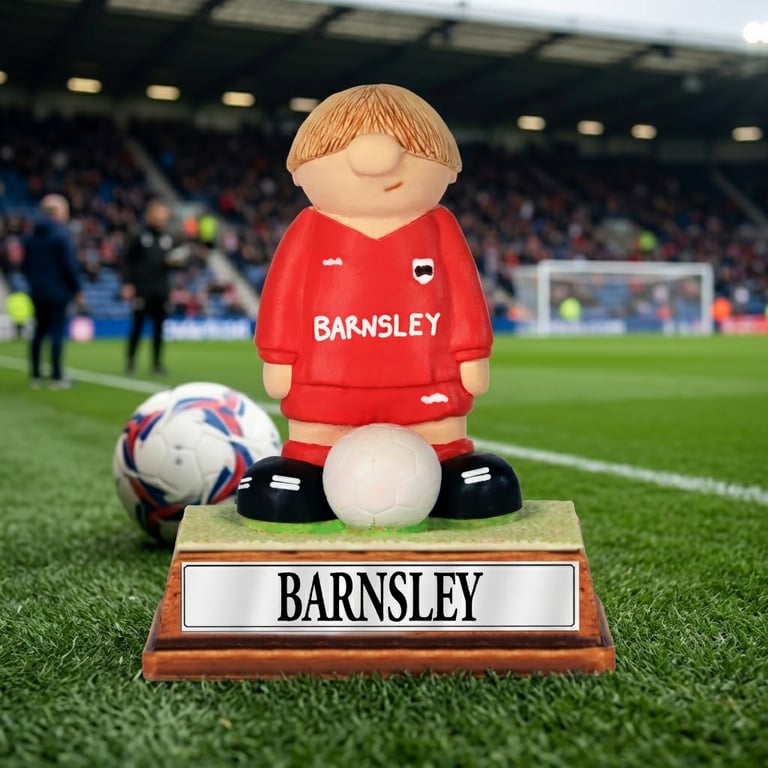 Barnsley FC Football Gift - Personalised. Custom Name & Number Birthday Fan