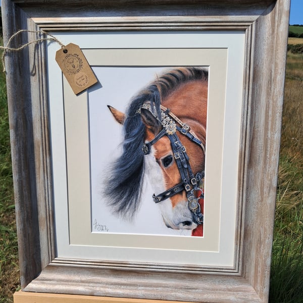 Framed horse drawing limited run gilcee 