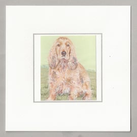 Cocker spaniel handmade card