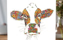 Cows