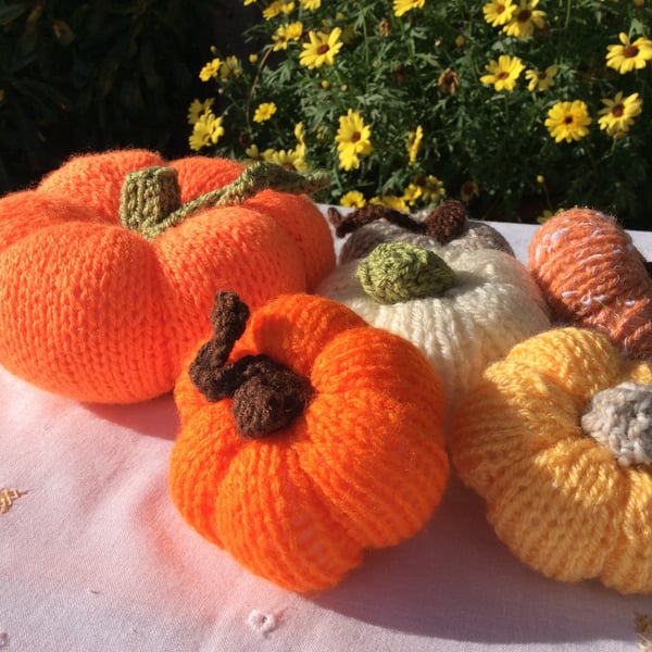 Halloween pumpkin decorations, 6 hand knitted pumpkins, harvest festival