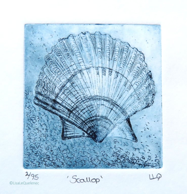 Scallop shell study original etching print mini print 