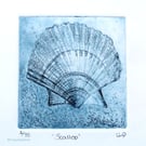 Scallop shell study original etching print mini print 