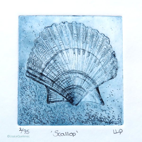 Scallop shell study original etching print mini print 
