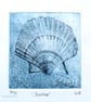 Scallop shell study original etching print mini print 