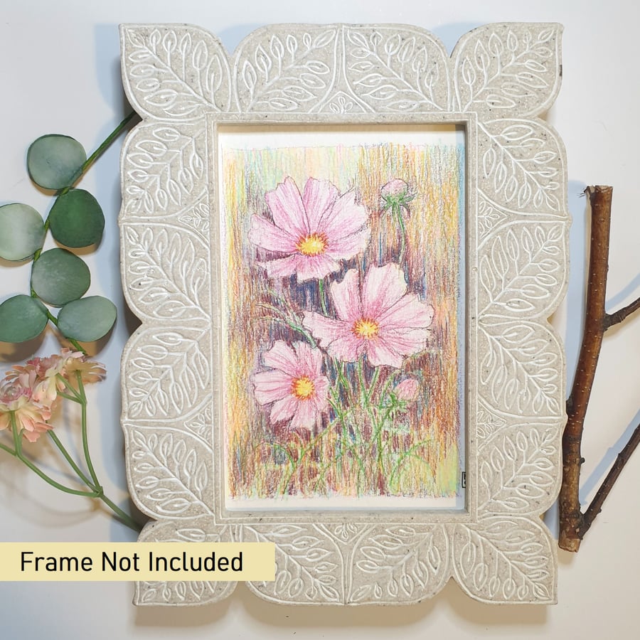 Pink Cosmos, small original drawing, letterbox art gift