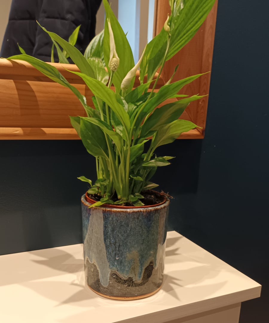 Small ceramic plant pot in blues 