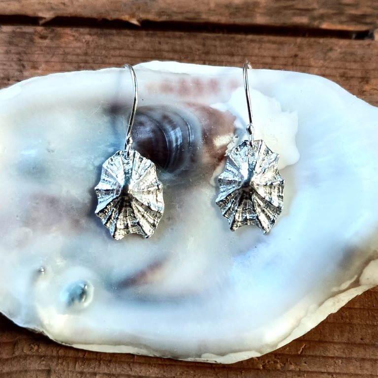  Silver Limpet Shell Earrings - Recycled Silver Shell Earrings
