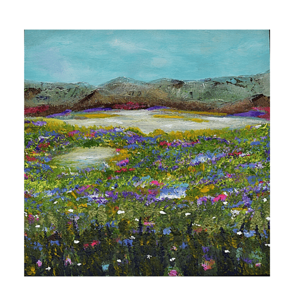 A framed acrylic painting - Scottish landscape - hills - loch - wild grassland