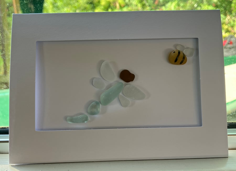 Sea Glass Occasion Cards - Dragonfly Collection