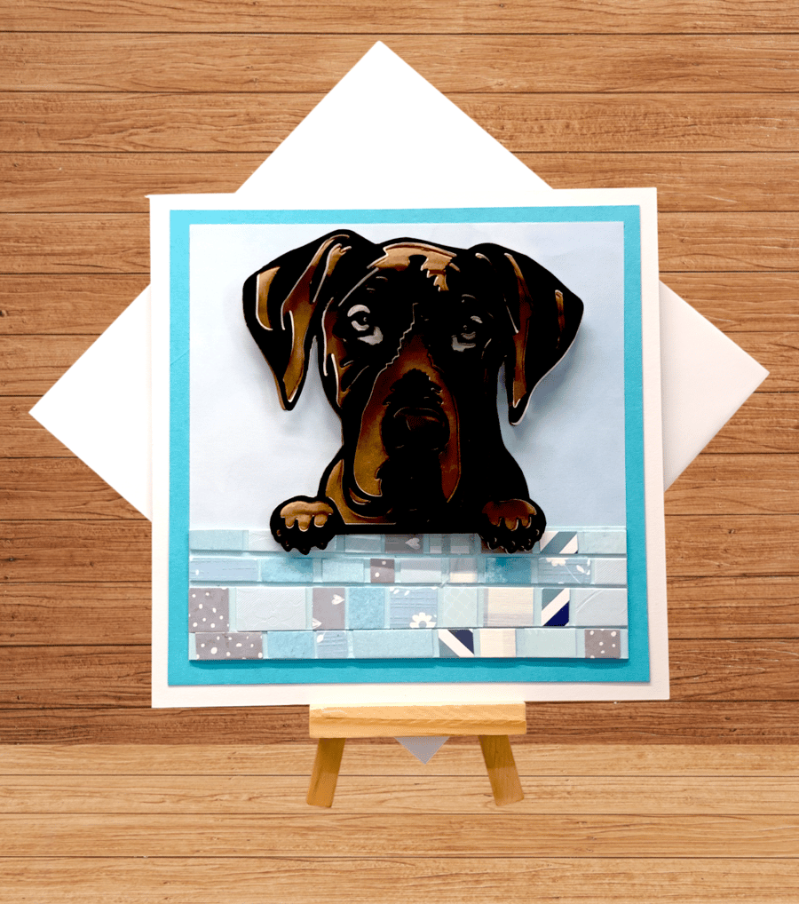 Striking layered Great Dane looking over a wall open card