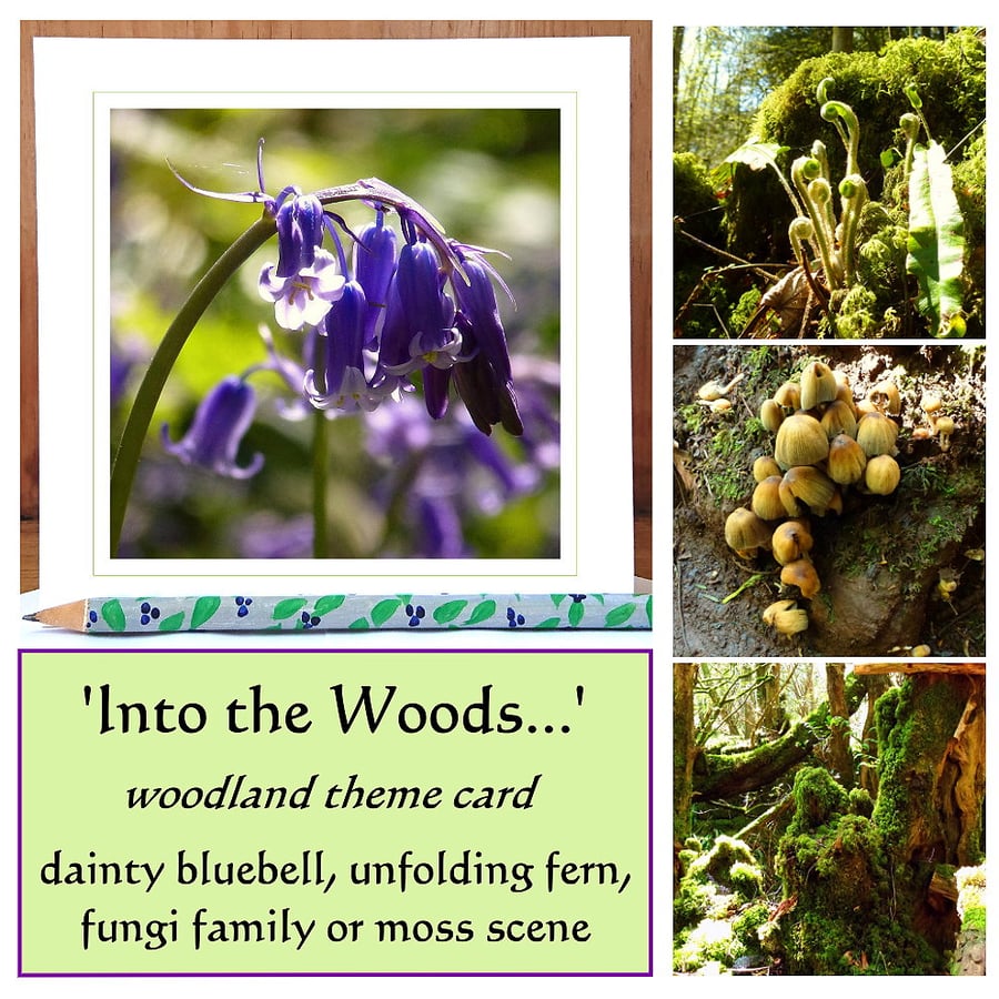 'Into the Woods...' single woodland card (bluebell, fern, fungi or moss) 