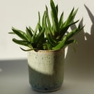 Studio pottery planter in pale green