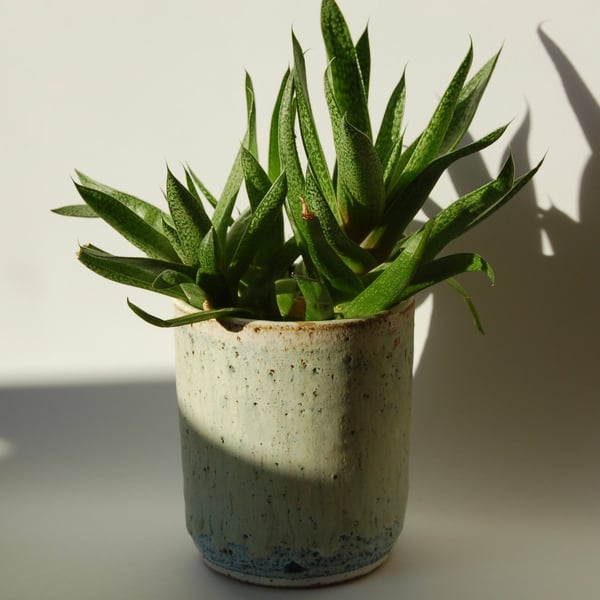 Studio pottery planter in pale green