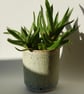 Studio pottery planter in pale green - Image 1