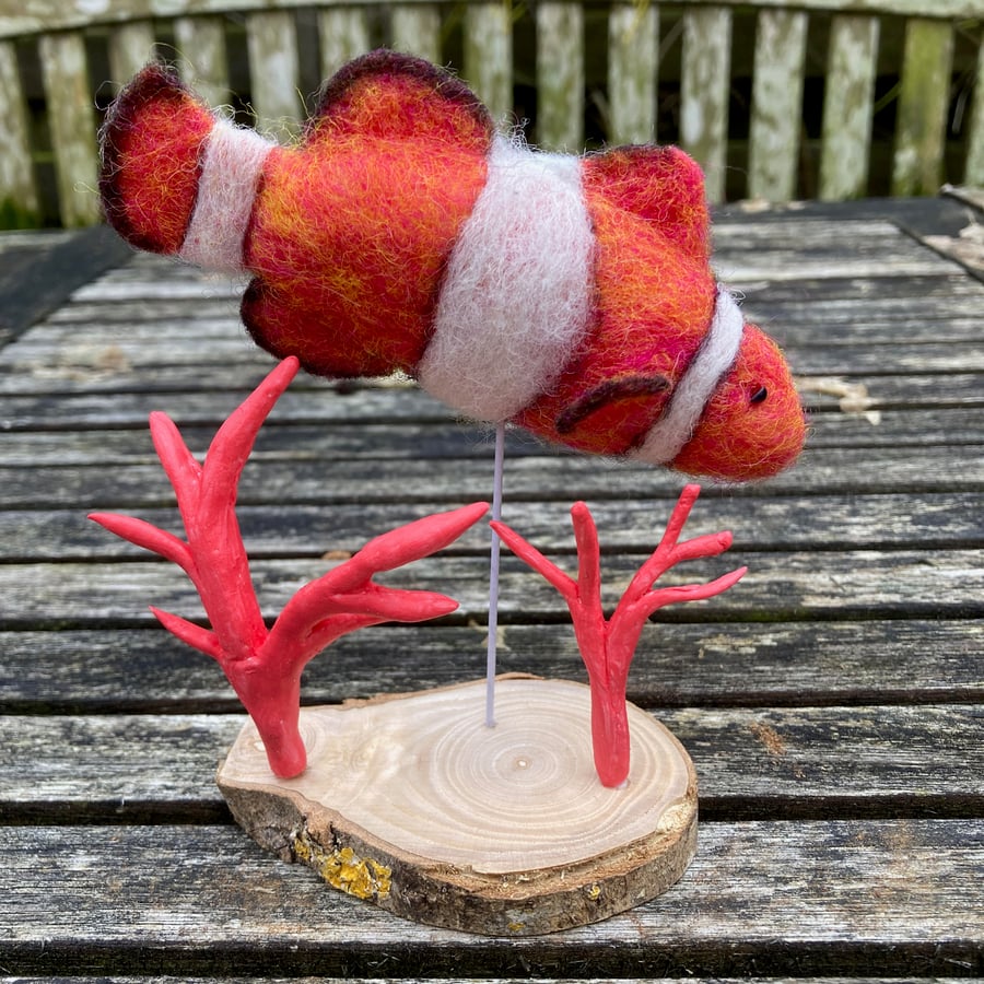 Needle felted clown fish sculpture, model