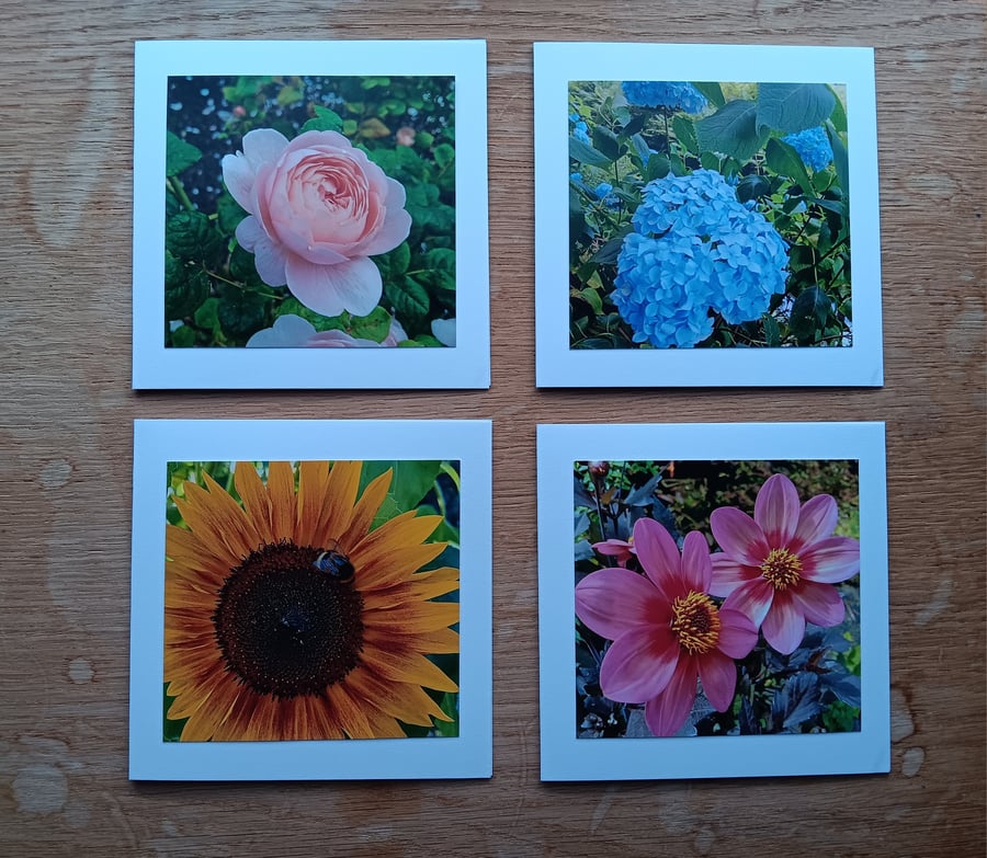 Rose, Dahlia, Sunflower, Hydrangea Photo Cards with Flowers Size 5" x 5" Blank