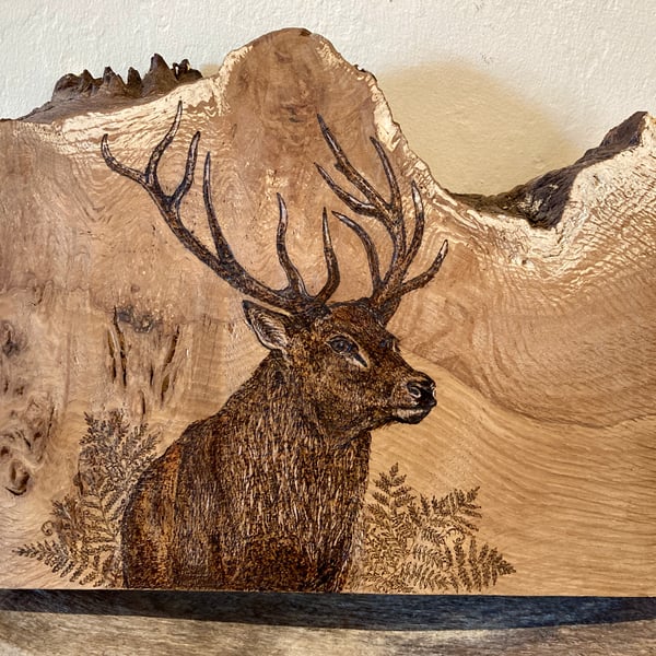 Pyrography Red Stag 