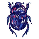 Scarab beetle fine art lino print
