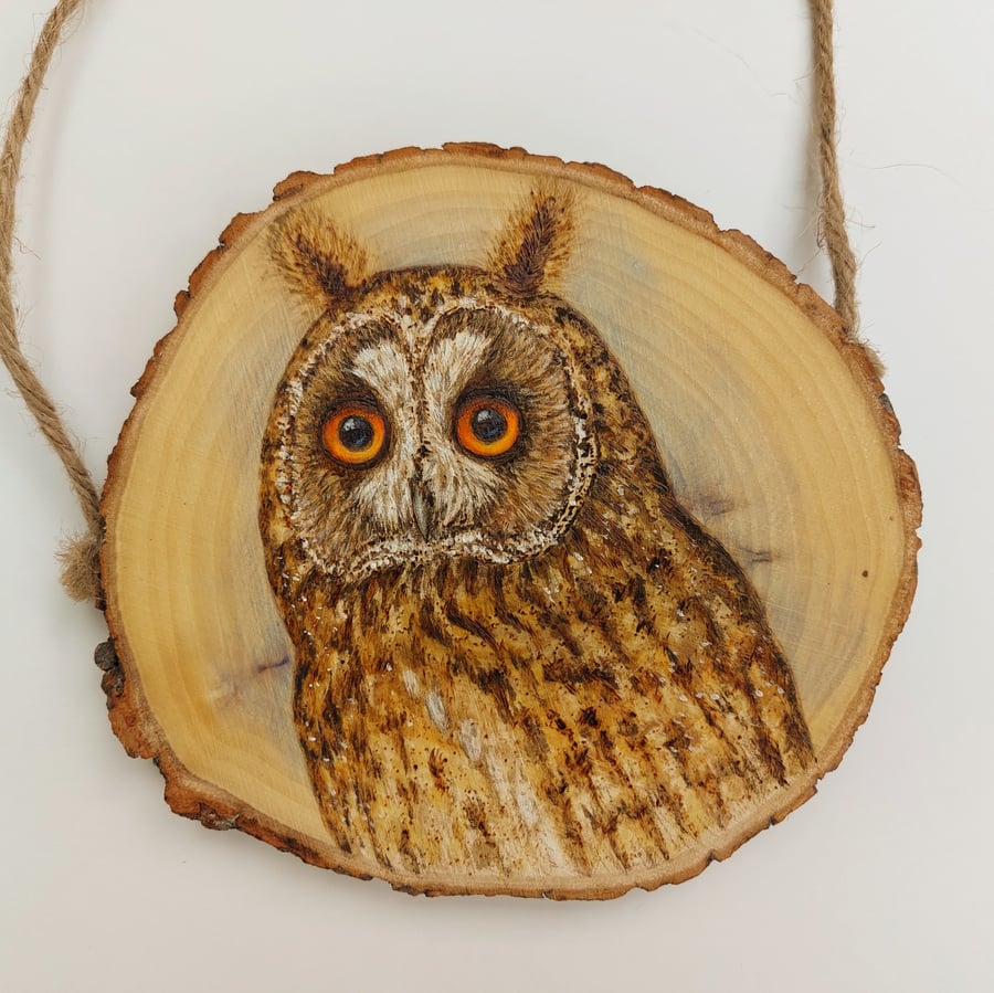 Long eared owl pyrography log slice