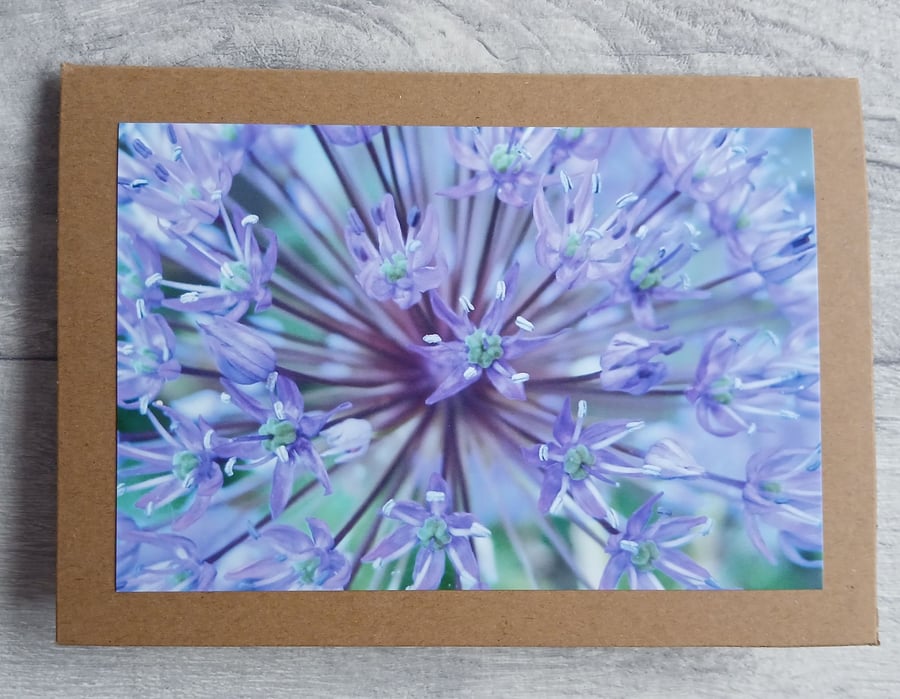 Allium Photo Greetings Card