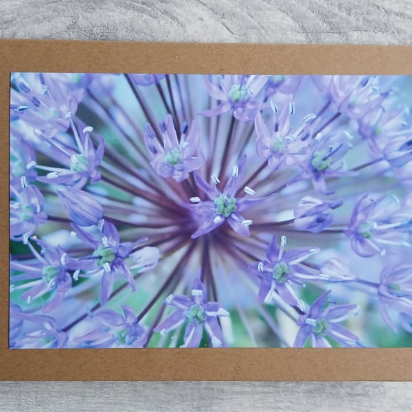 Allium Photo Greetings Card