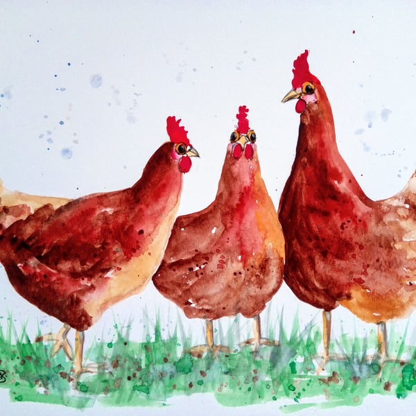 Free-range chickens. Chicken painting